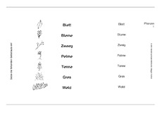 Pflanzen1-4.pdf